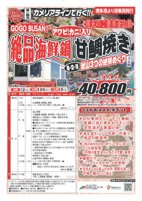 第一観光 ニューかめりあで行く釜山3日間