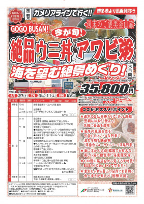 第一観光 ニューかめりあで行く釜山3日間